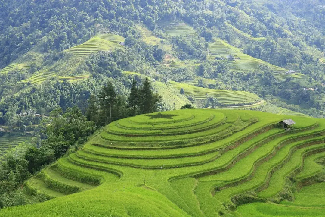 vietnam landscape