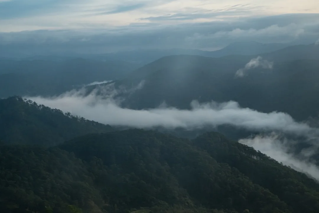 découvrez les paysages spectaculaires du vietnam, entre rizières en terrasses, montagnes majestueuses et côtes paradisiaques.