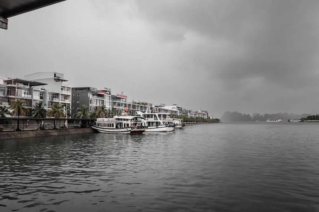 découvrez la saison des pluies au vietnam : conseils de voyage, climat, et activités pour profiter pleinement malgré la météo humide.